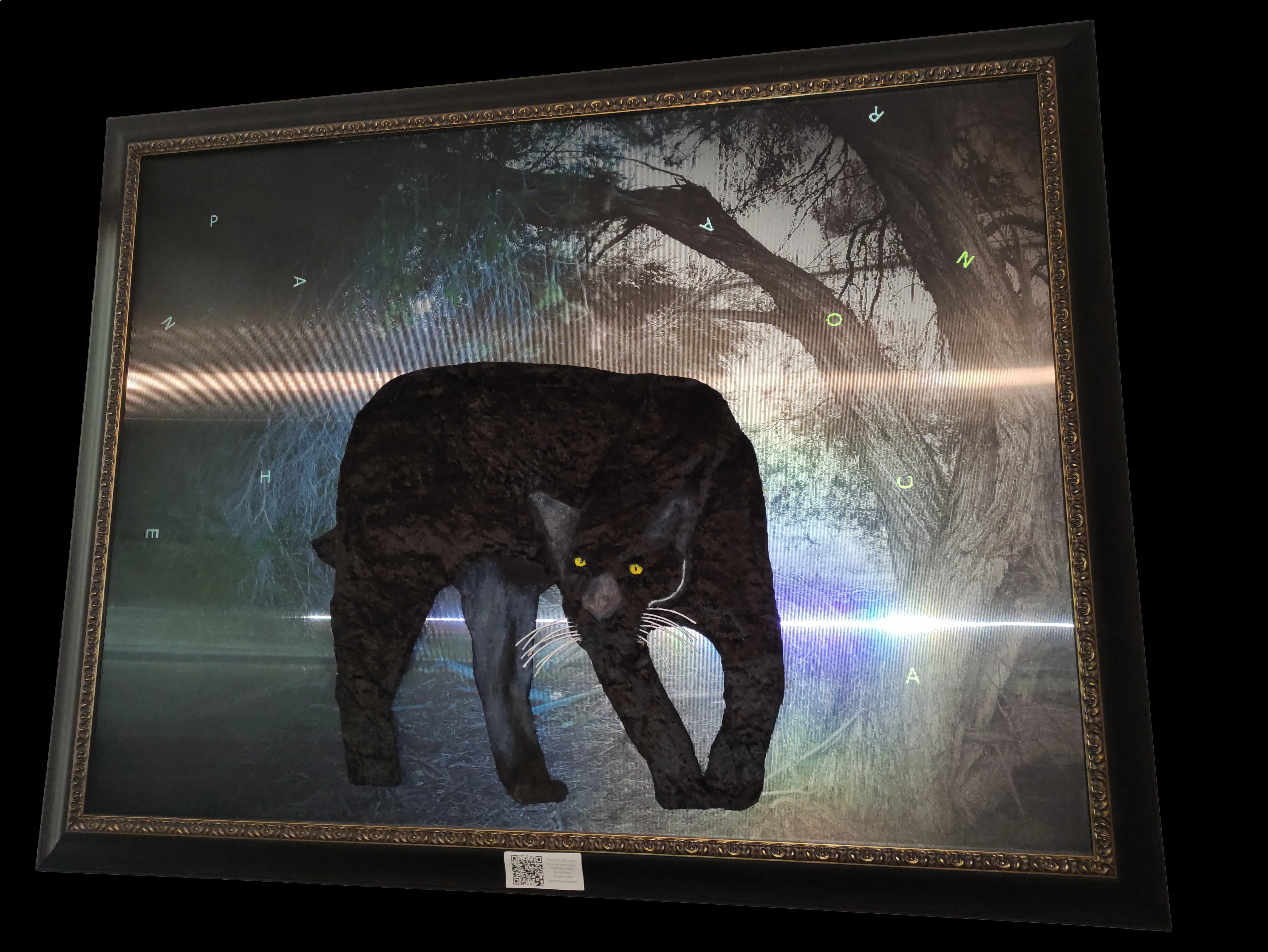 Jaguar artwork on lenticular print