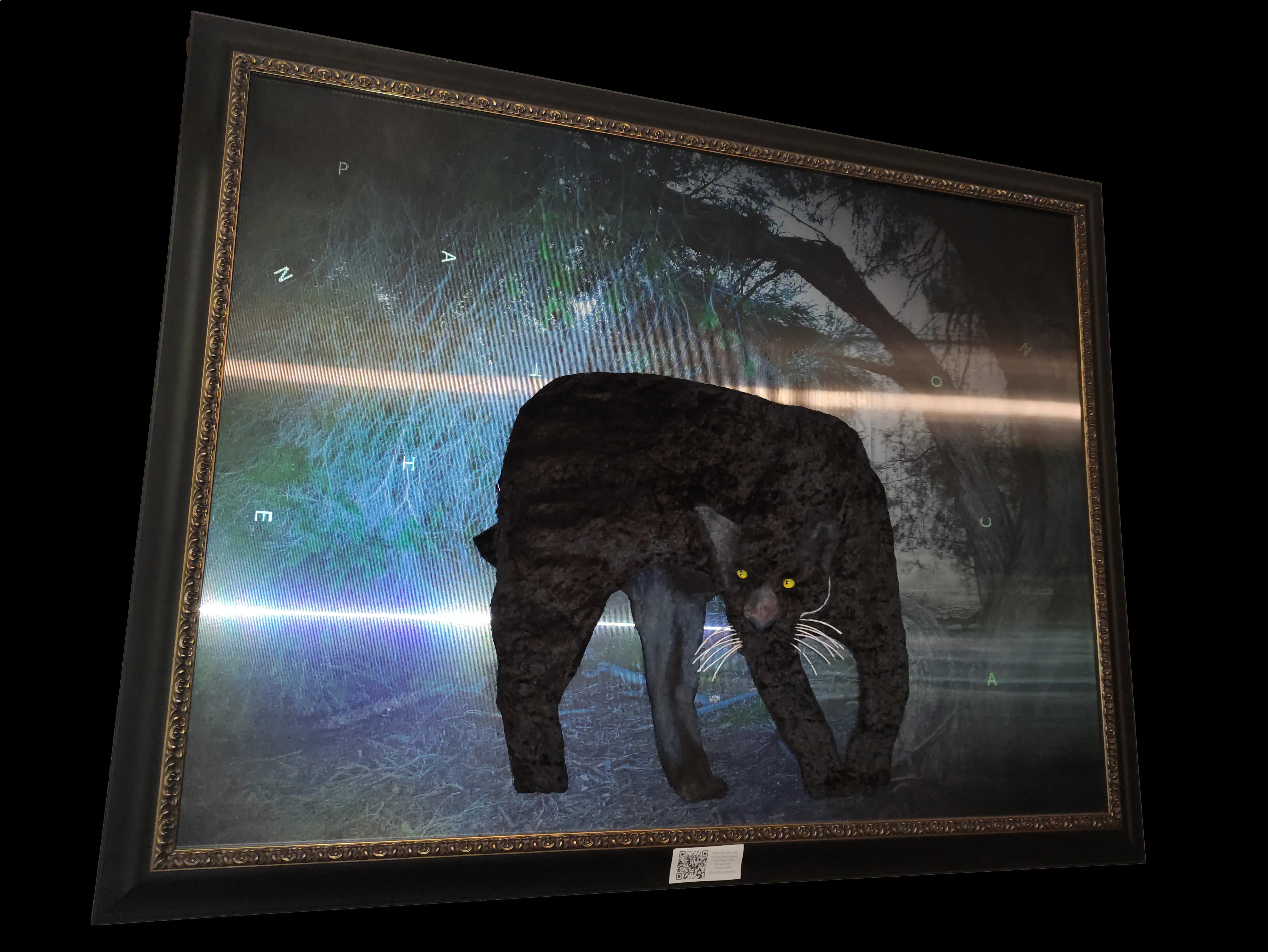 Jaguar artwork on lenticular print